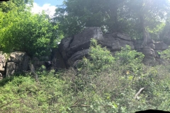 Black Lizard Trip to Harrisons Rocks